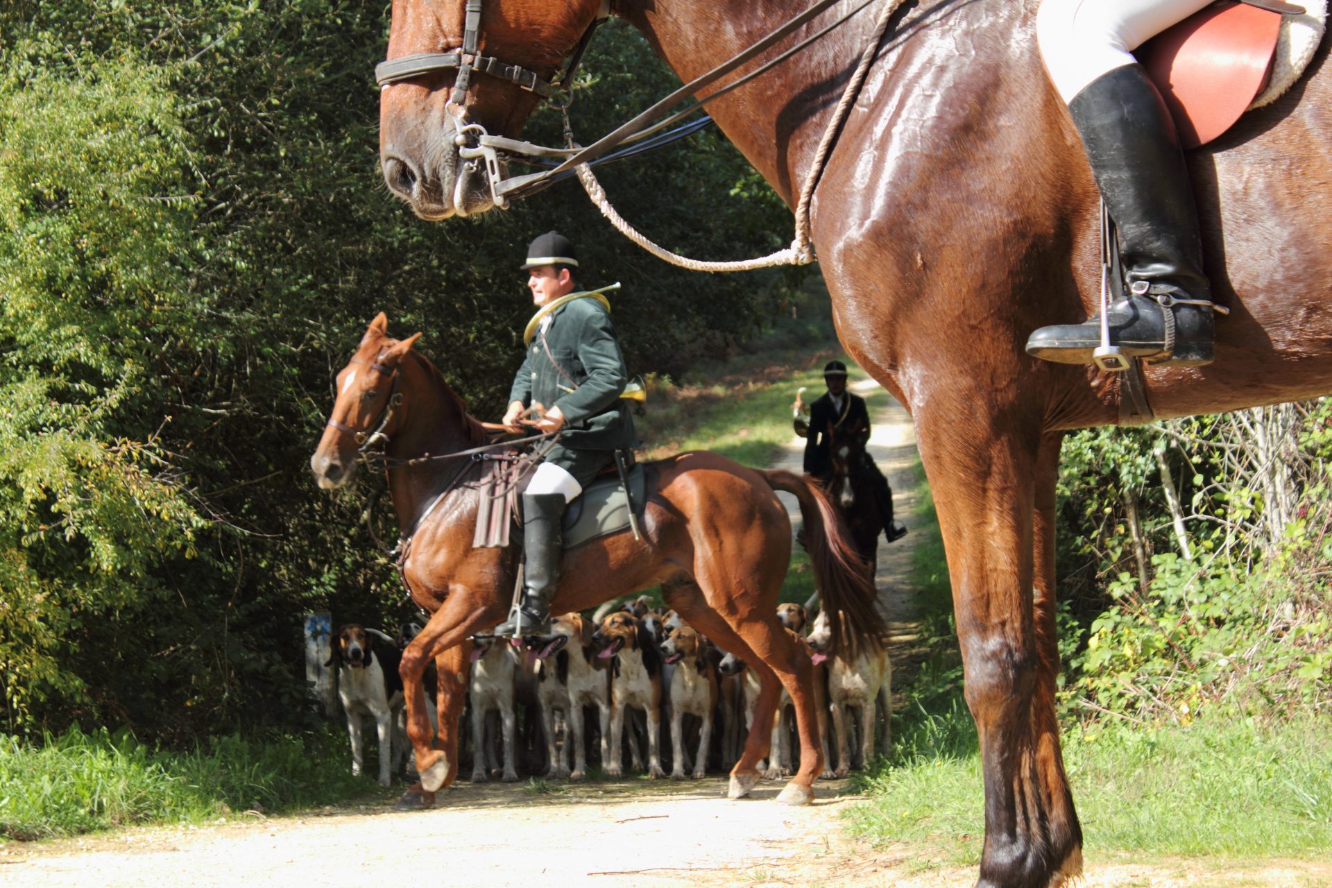 A Classical Hunt in Angers, France