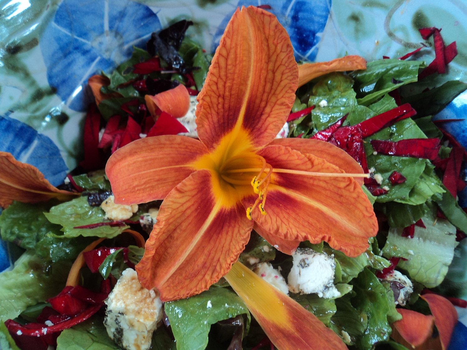 In Season Now: Day Lilies and Begonias