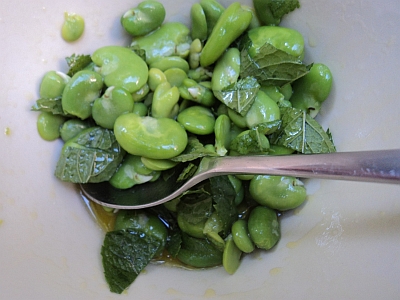 In Season Now: Fava (Broad) Beans