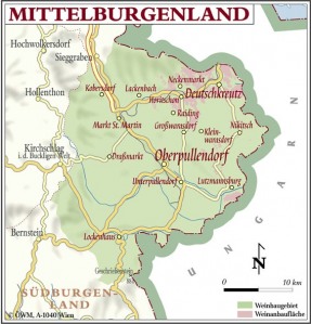 Spotlight on a Wine Region: Mittelburgenland DAC