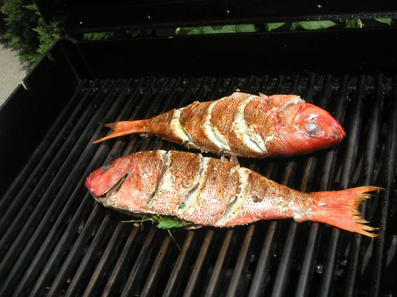 Overcoming the two problems cooking fish on the BBQ
