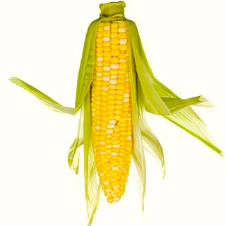Corn Sex & Climate Change