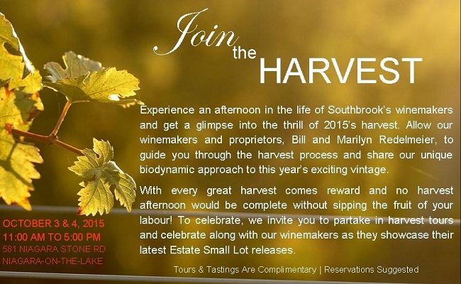 Join The Harvest With Southbrook Vineyards!