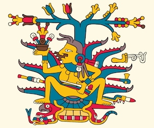 Sacred Heart of Mayahuel – Mezcal in Mexico