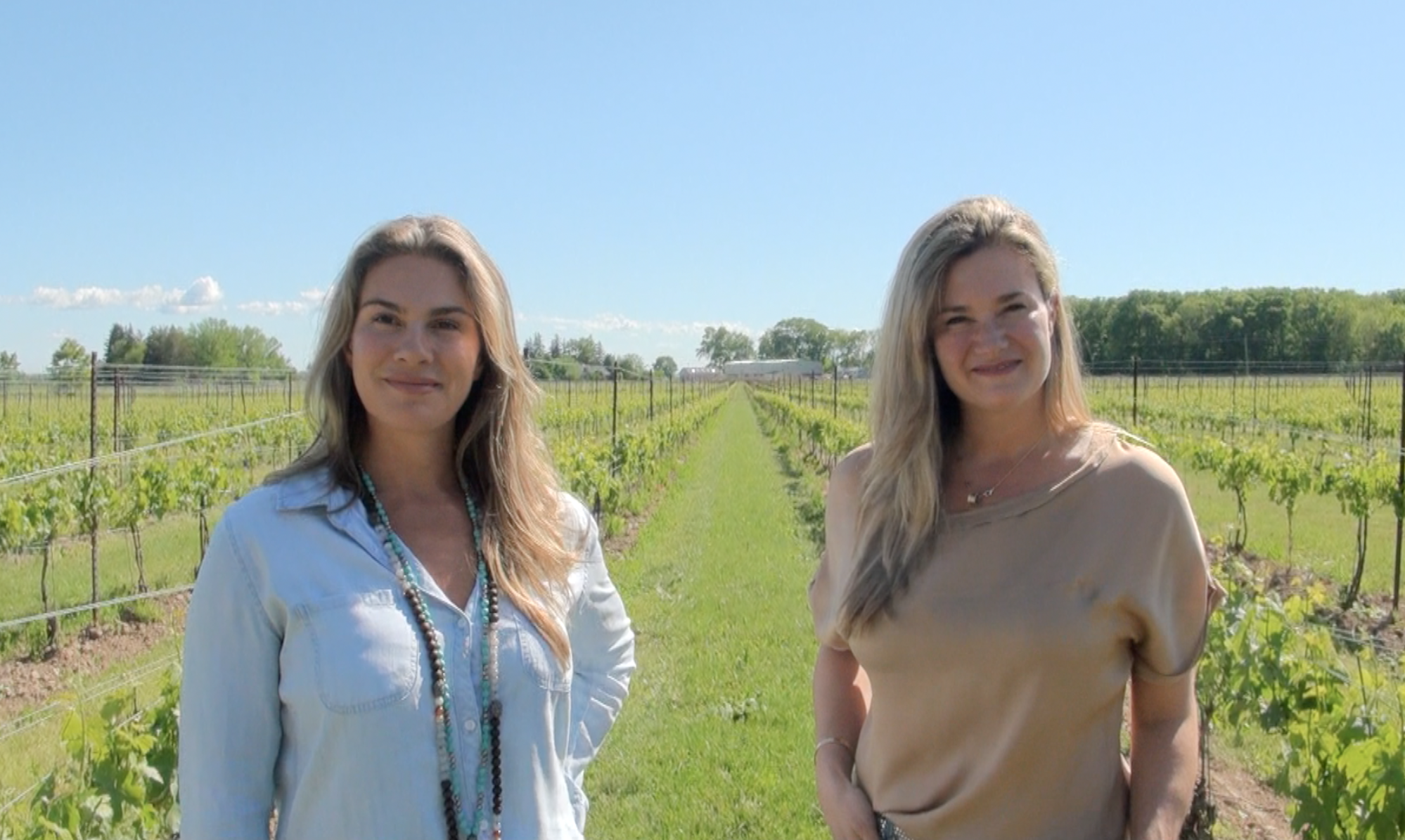 In The Vineyards With The Two Sisters