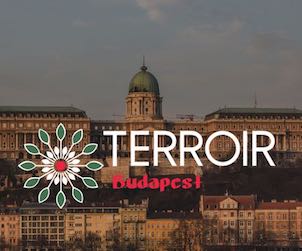 Terroir Talk Budapest & Balaton