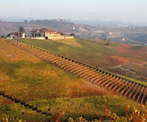 Pinot At Its Peak and Wildly Exotic Barolo
