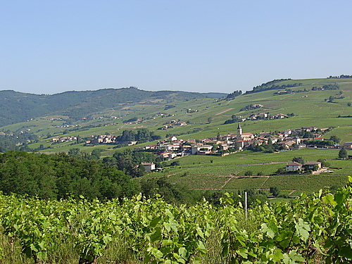 Exploring Beaujolais : A Look At The Fleurie Cru