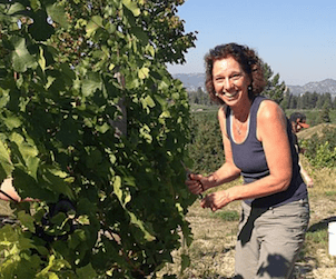 Old Vine Wines from Tantalus