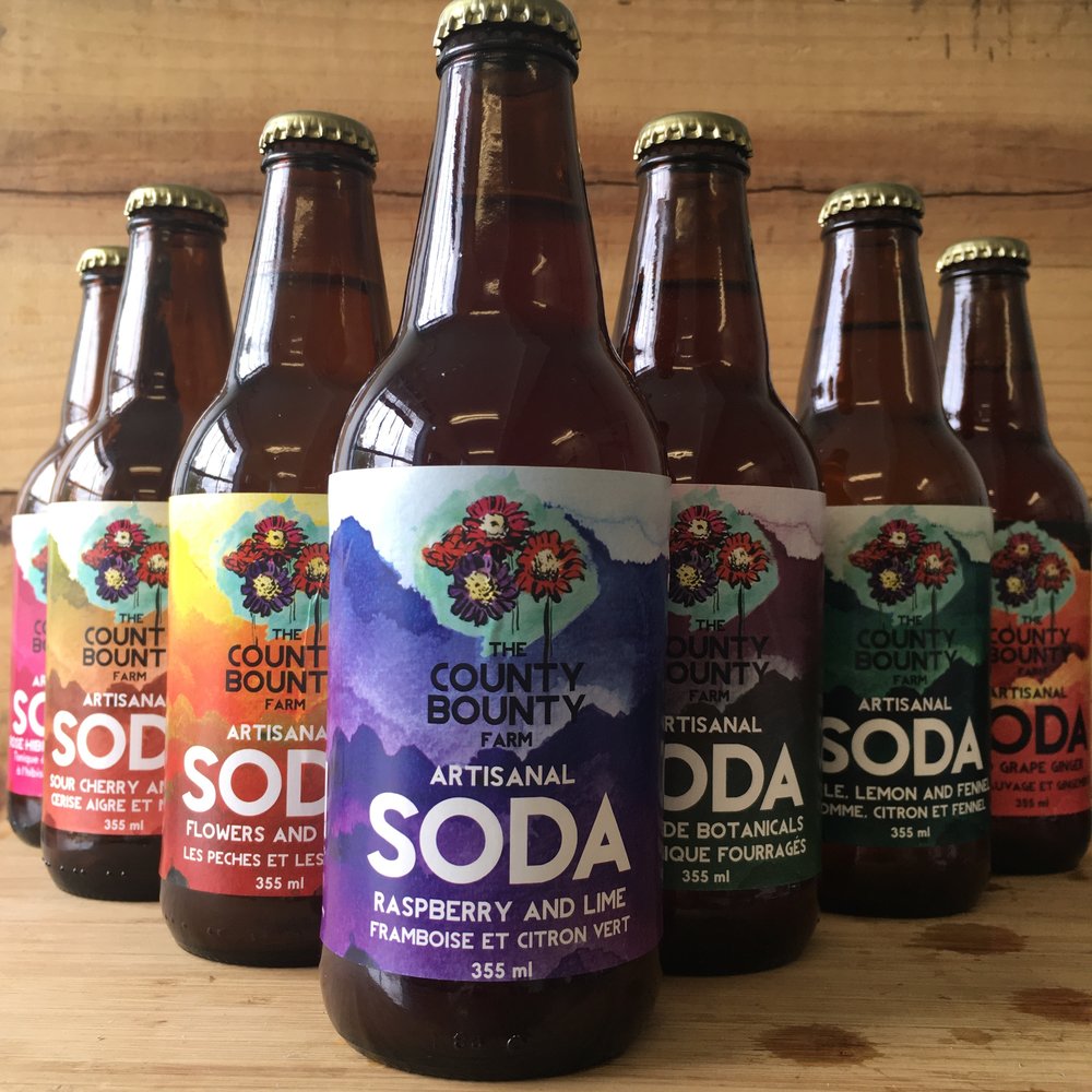 Try This : Artisanal Sodas From The County