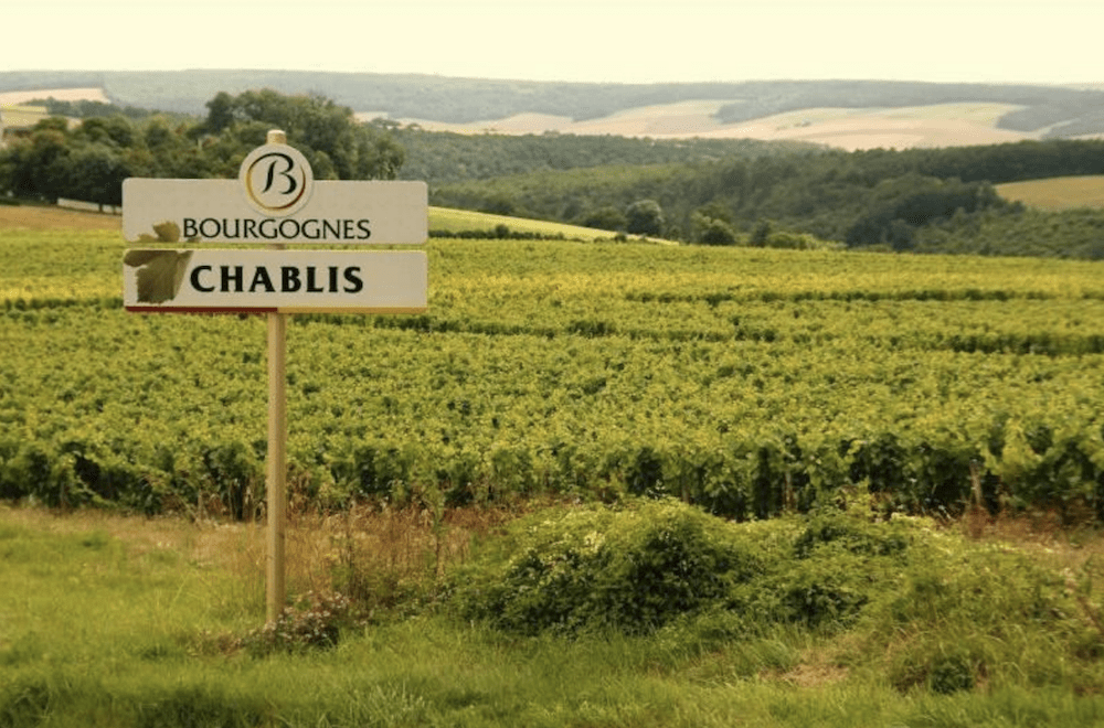 The Irresistible Allure Of Chablis