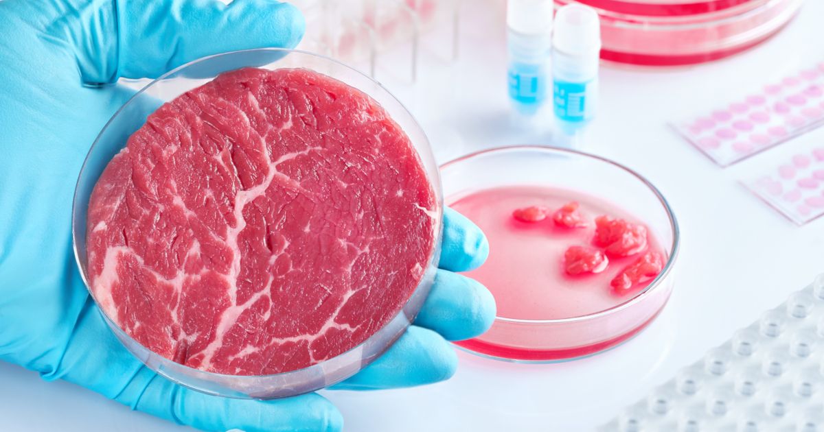 Meat Planet : Artificial Flesh And The Future Of Food