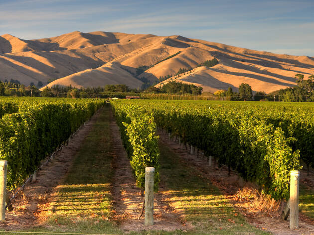 A Reminder : The New Zealand Wine Diaries Tomorrow, Wednesday