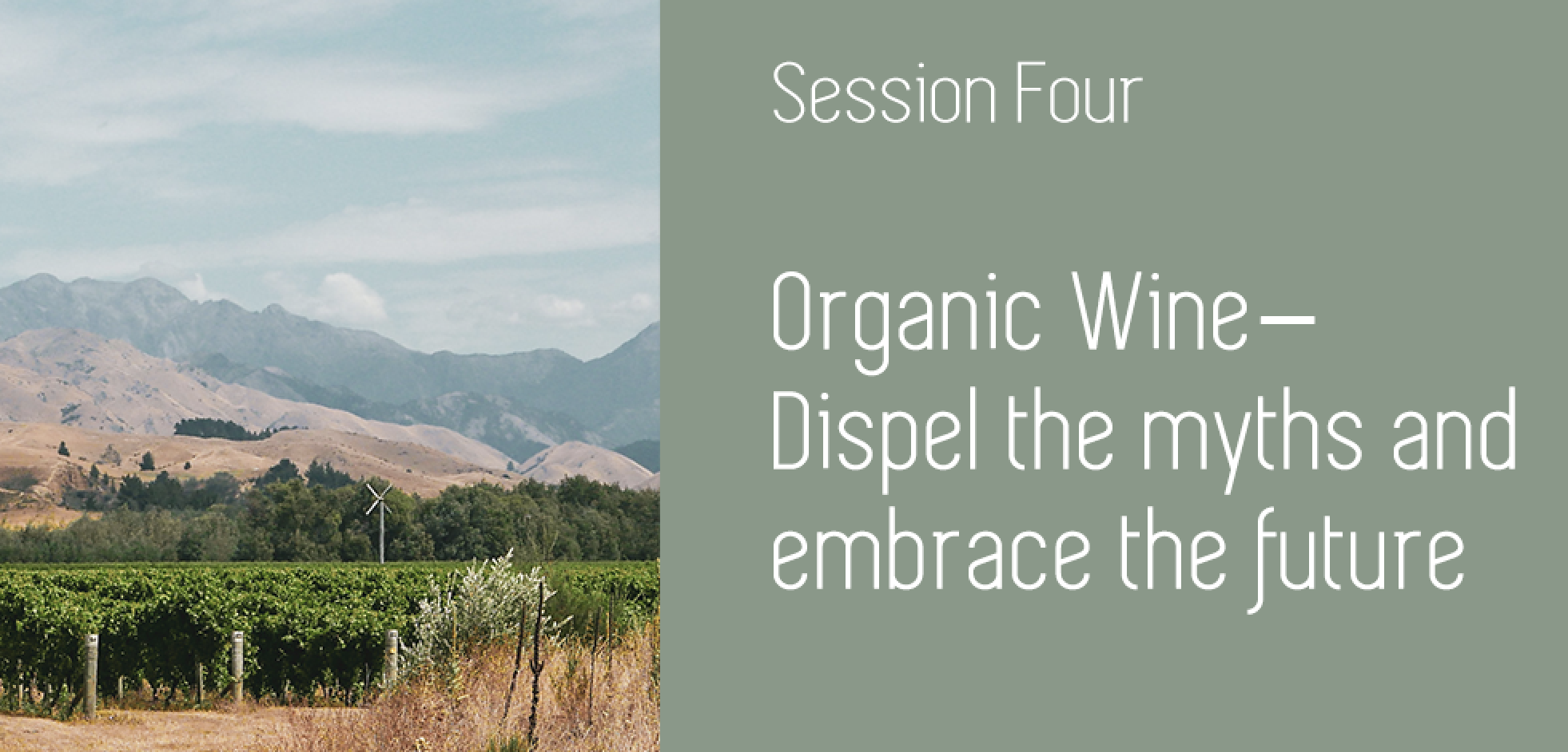 The NZ Wine Diaries : Organic Wine Week
