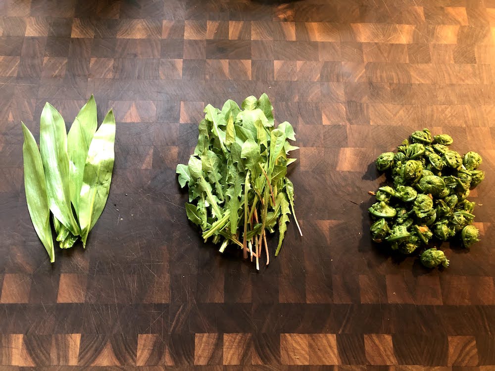 How To Eat In The Wild Part 2 : Ramps, Dandelions, And Fiddleheads