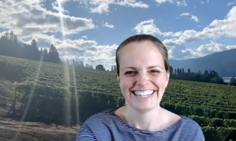 Life In The Time Of COVID-19  In Conversation With Winemaker Katie Dickieson, Peller Estates, Ontario, Canada