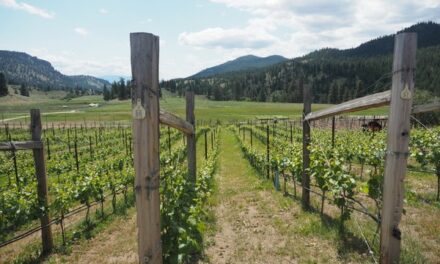 New LCBO VINTAGES Releases : Okanagan Valley & Bourgogne
