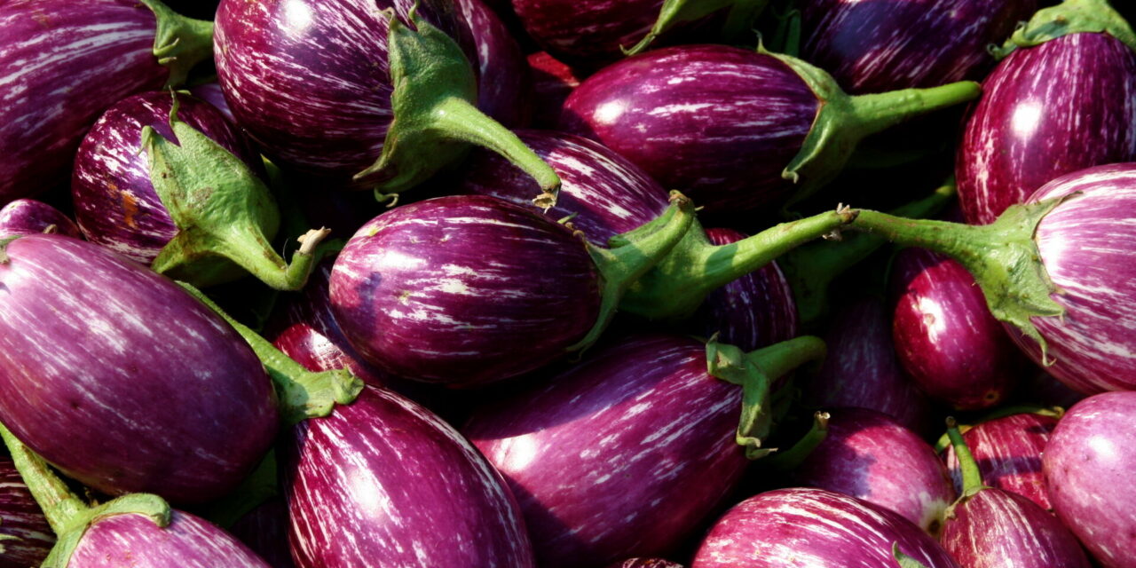 The Princess Aubergine: Eggplant Love Around the World