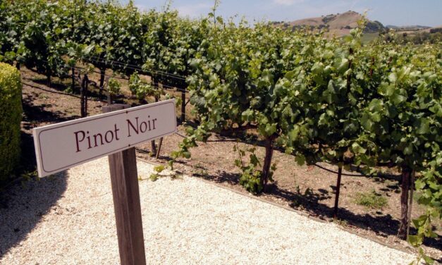Pinot Heroes: A Celebration of Pinot Noir