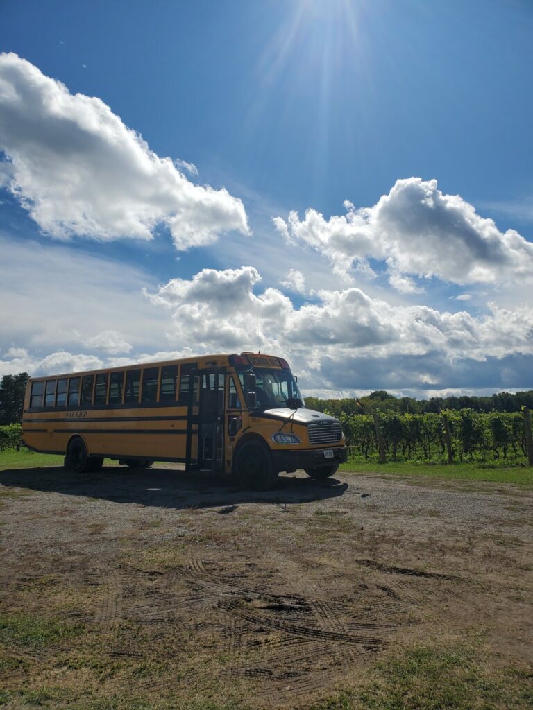 The Magic School Bus of Wine
