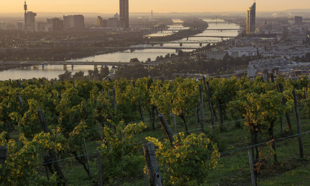 Join us in tasting Biodynamic Austrian Wines