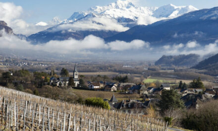 Understanding the ethereal allure of the alpine wines of Savoie – Part 1