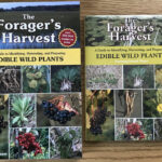 Read This: The best book on foraging I’ve ever read