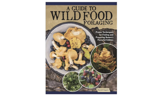 Read This: Foraging for Dummies?