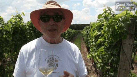 Checking out the International Cool Climate Chardonnay Celebration with wine writer Tony Aspler