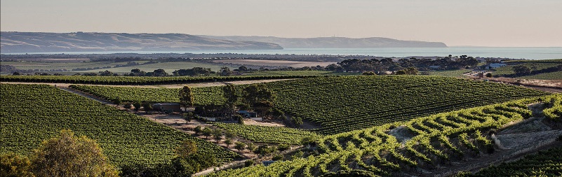 Spotlight Australia – Recent arrivals from Juxtaposed Wines & DogRidge