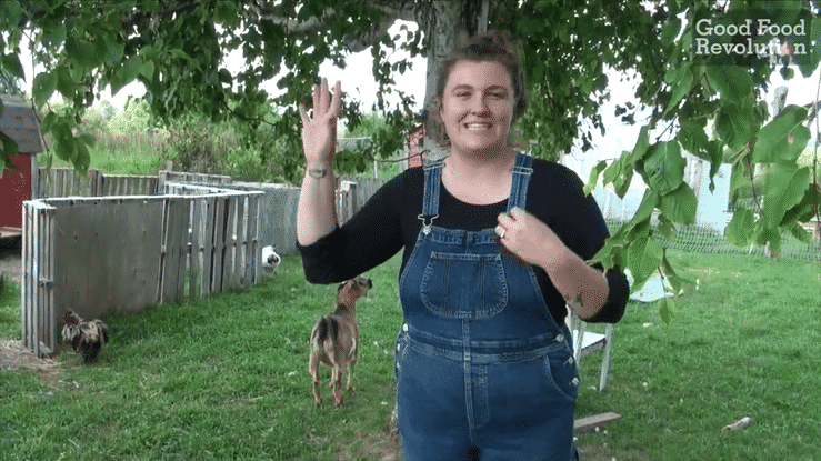 Becoming a self-sufficient homesteader – with Danielle Ciomyk, Aberdeen Acres Homestead, Eugenia