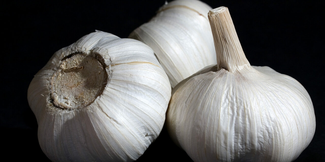 The Garlic Eaters: the Good, the Bad, and the Evil