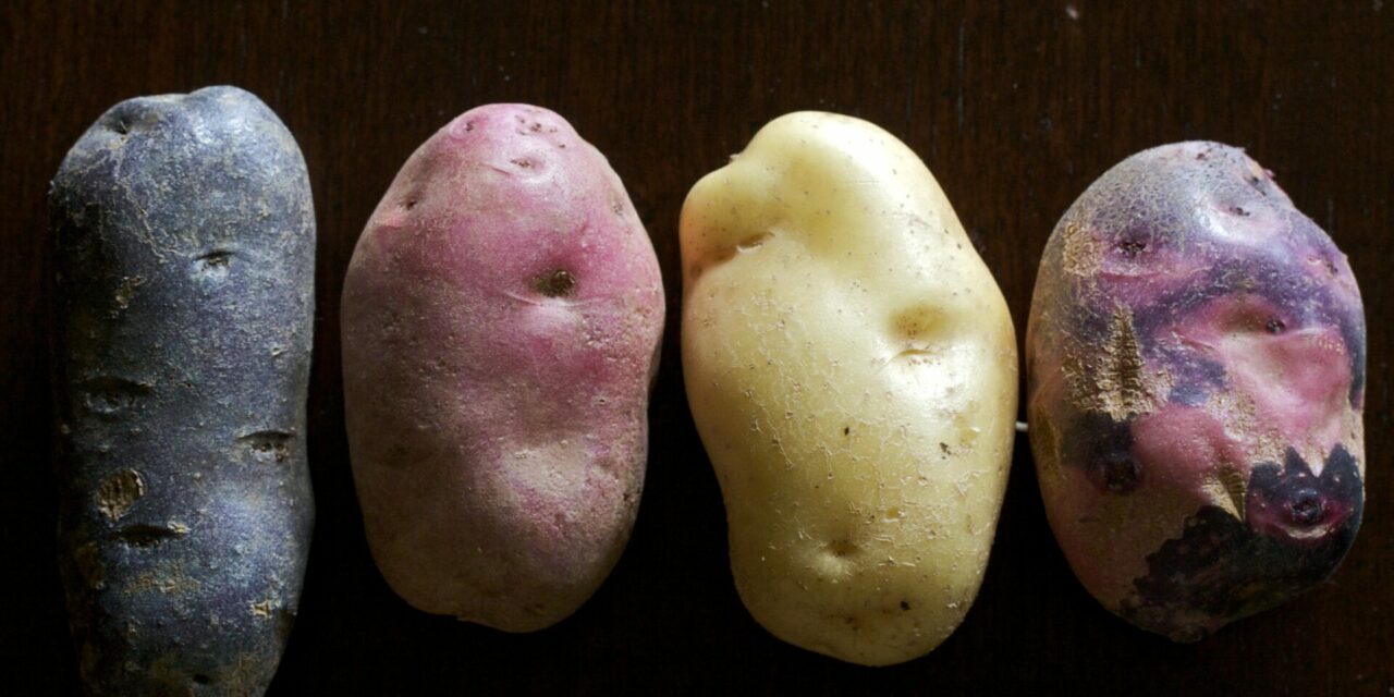 You Say Potato, I Say Potato…