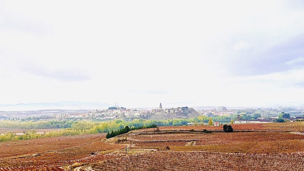 A Fortnight in Rioja: Exploring the Multiplicity and Complexity of an Iconic Wine Region