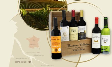 A Luxury Bordeaux Discovery Chest