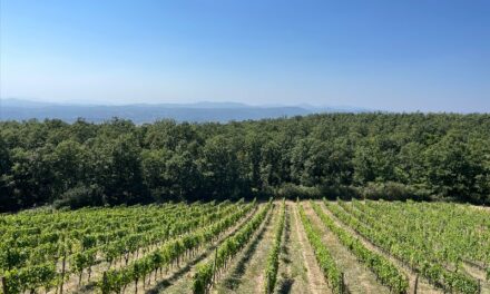 Le Ragnaie : The Heights of Montalcino